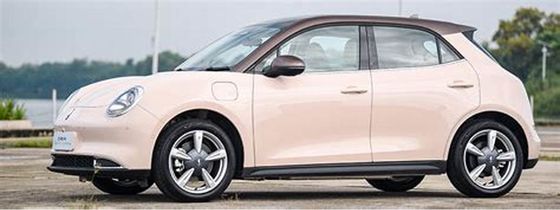 150km/h Xe điện thân thiện với ECO 400KM ORA Good Cat Xe điện tinh khiết