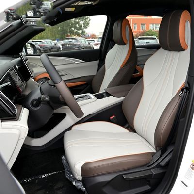 Tay Lái LHD Xe Điện Tự Động