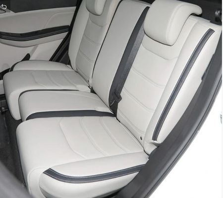 301 km SUV điện sang trọng